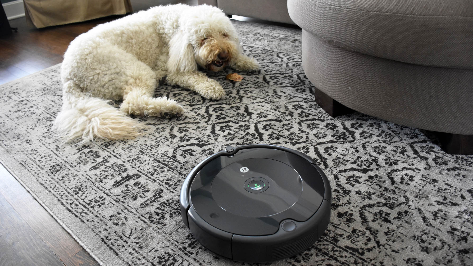 What are the Best Robot Vacuums for Pet Hair