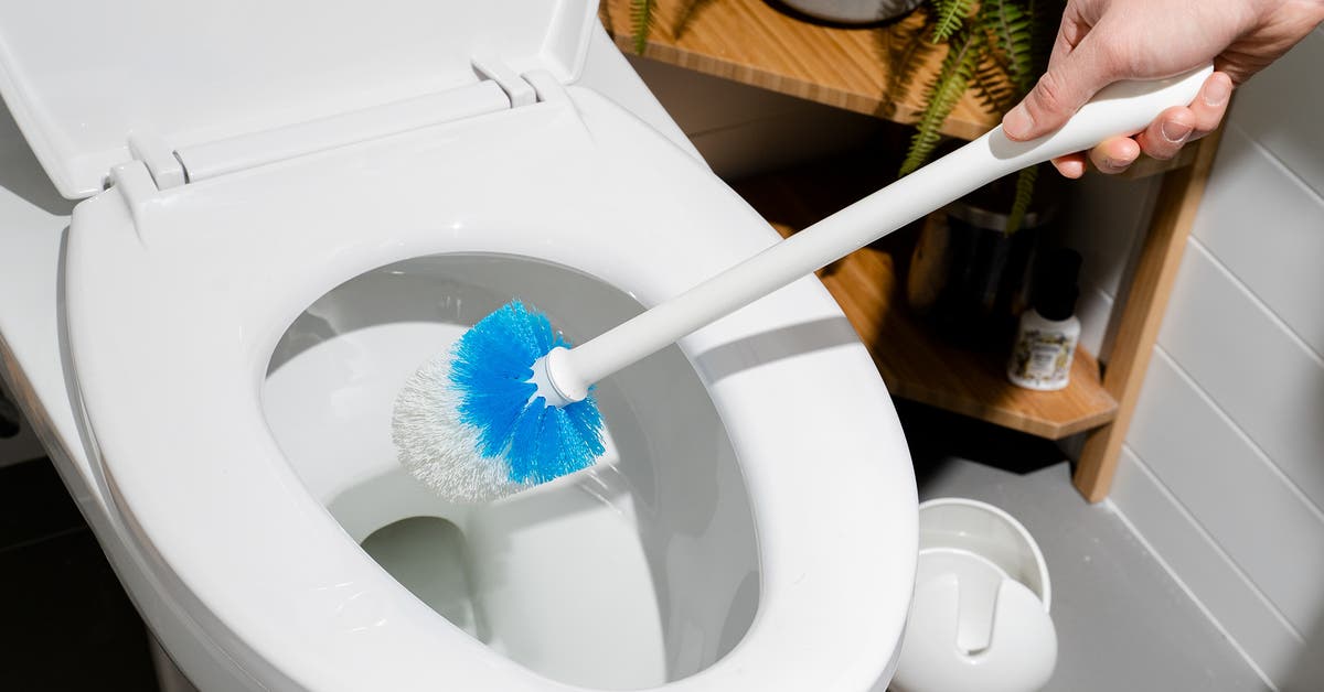 How Often Replace Toilet Brush