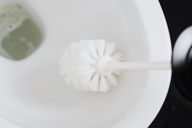 How Often Should You Change Your Toilet Brush