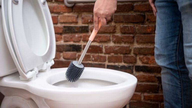 How Often to Change Toilet Brush