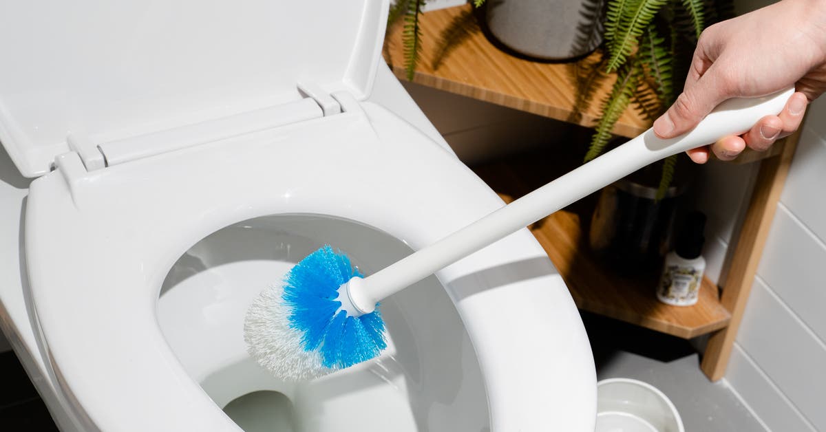 How to Clean a Toilet Brush