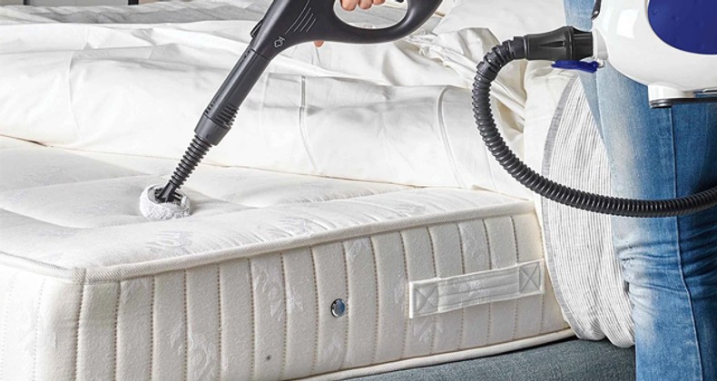 What Are The Best Steam Cleaners For Bed Bugs?