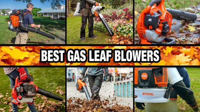 What is the Best Gas Leaf Blower Vacuum?