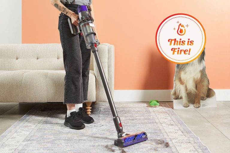 What is the Best Stick Vacuum for Dog Hair