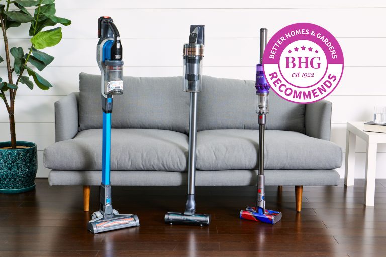 What is the Best Stick Vacuum for Pets